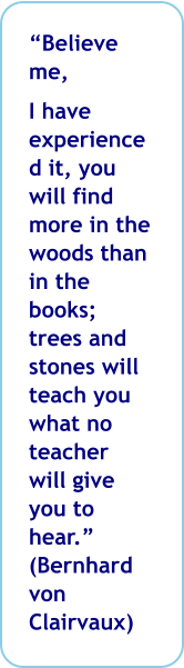 Believe me,  I have experienced it, you will find more in the woods than in the books; trees and stones will teach you what no teacher will give you to hear. (Bernhard von Clairvaux)